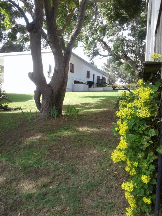 Woodpecker Apartment Plettenberg Bay Exterior photo