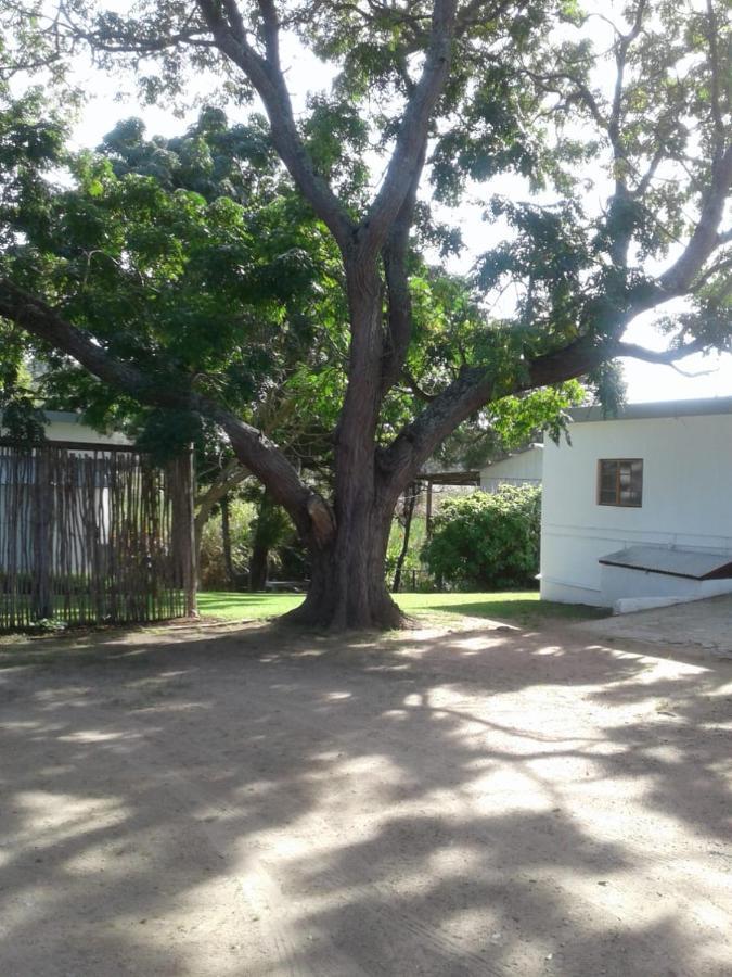 Woodpecker Apartment Plettenberg Bay Exterior photo